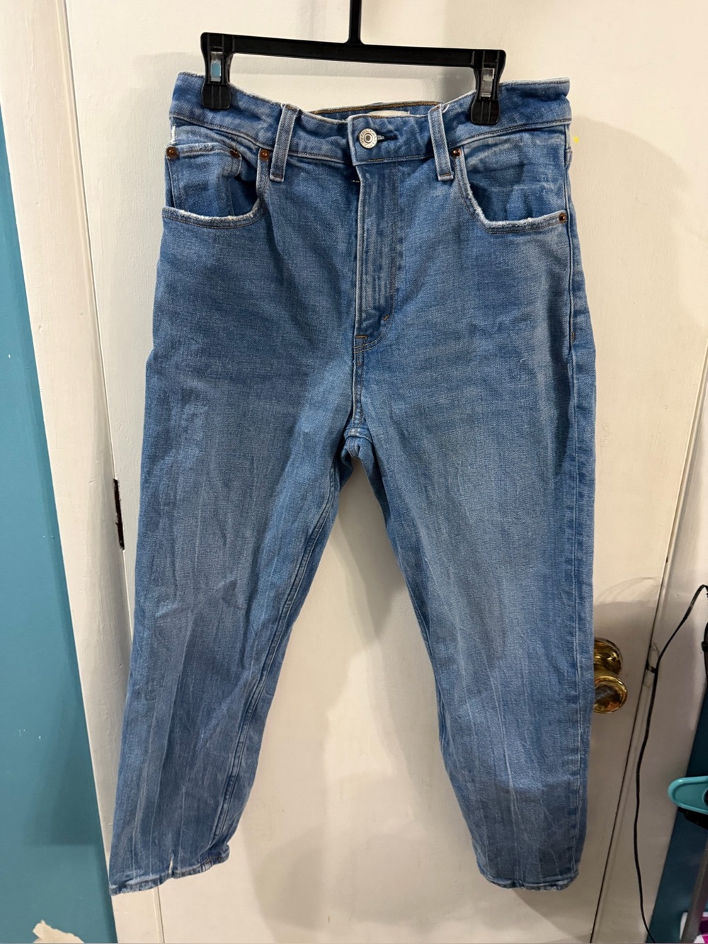 Abercrombie & Fitch Curve Love The Mom High Rise Jeans Size 2 Short